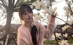 伦理片福利视频云播放